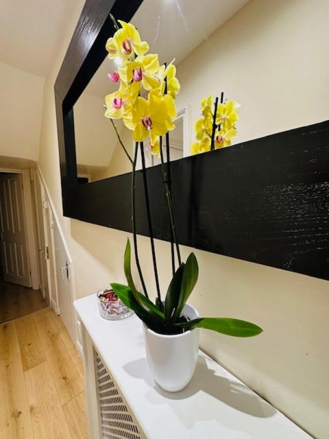 Charming & Modern Apartment, Heart Of Notting Hill, Prime Location, Close To Kensington Palace & Oxford Street * London